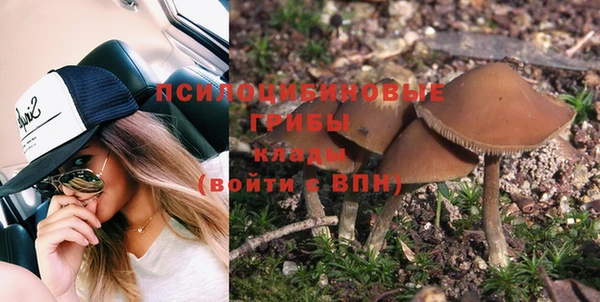 apvp Бородино