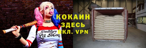 apvp Бородино