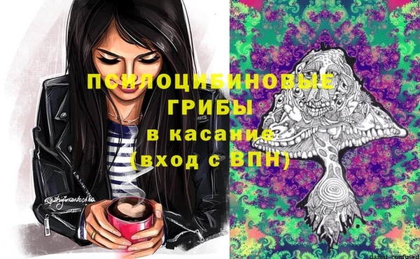 гашик Бронницы