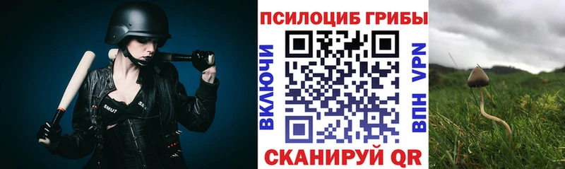 как найти закладки  Сосногорск  Галлюциногенные грибы Psilocybine cubensis 
